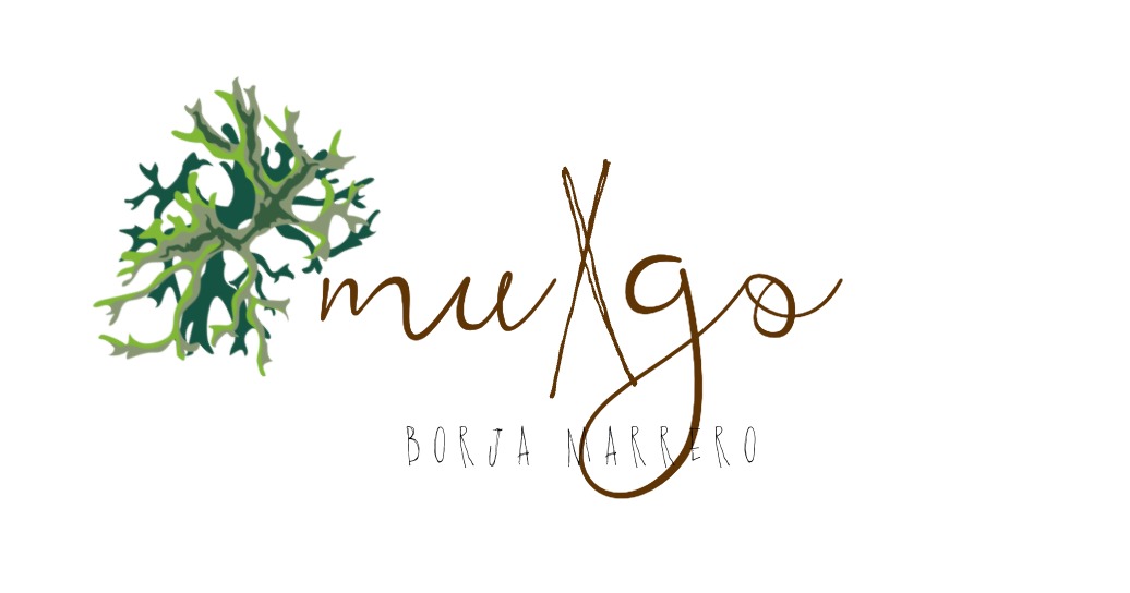 El chef Borja Marrero abre con gran éxito su nuevo restaurante, MuXgo, en el roof top del hotel Catalina Plaza Sostenible, Las Palmas de Gran Canaria