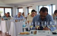Fuerteventura acoge en marzo la XXII edición del Concurso Oficial de Vinos Agrocanarias 2022