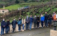 El alumnado de la Cátedra de Agroturismo y Enoturismo de Canarias visita la Bodegas Arautava