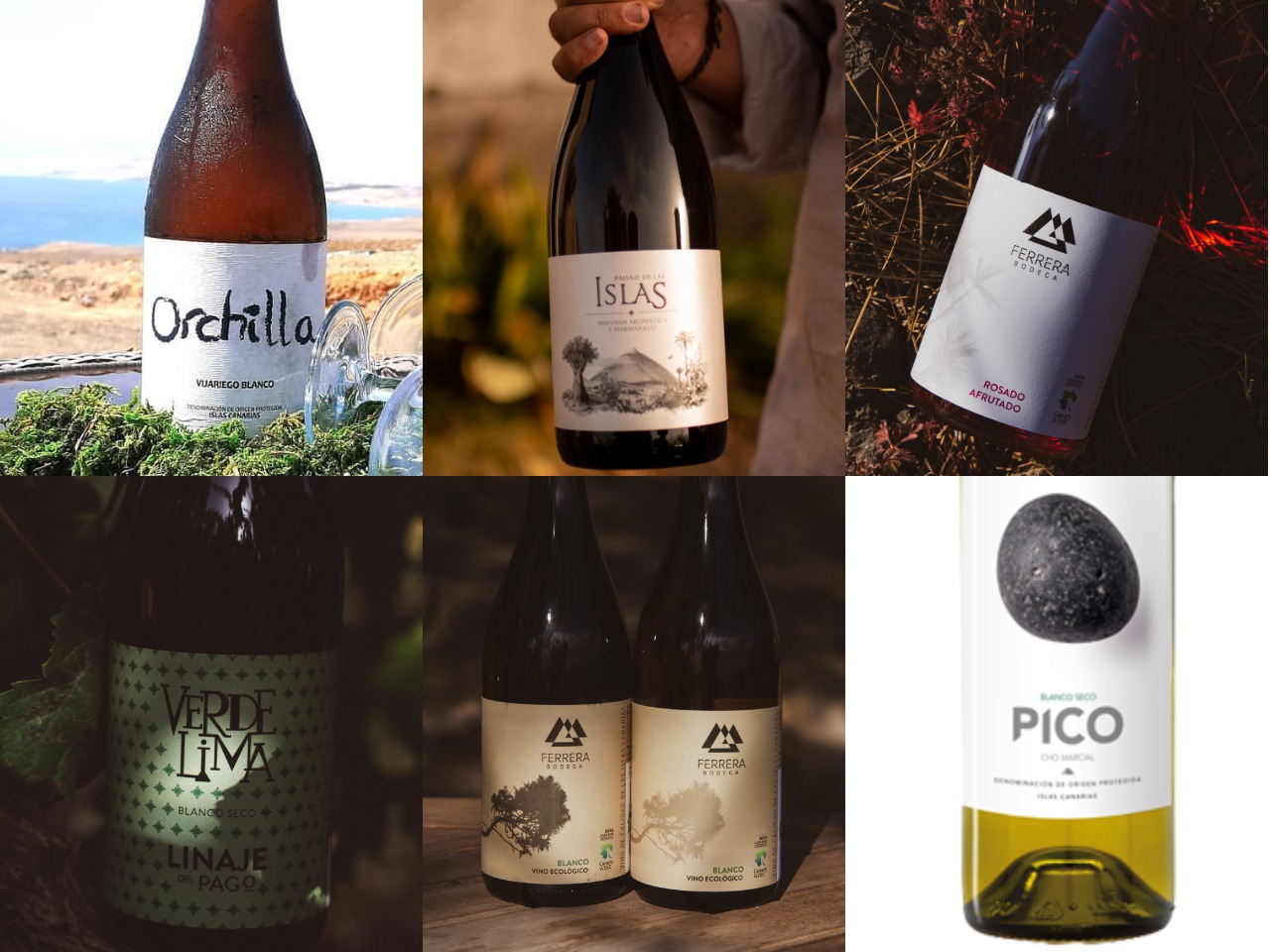 Canary Wine triunfa en los premios del Concurso Oficial de Vinos Agrocanarias 2022