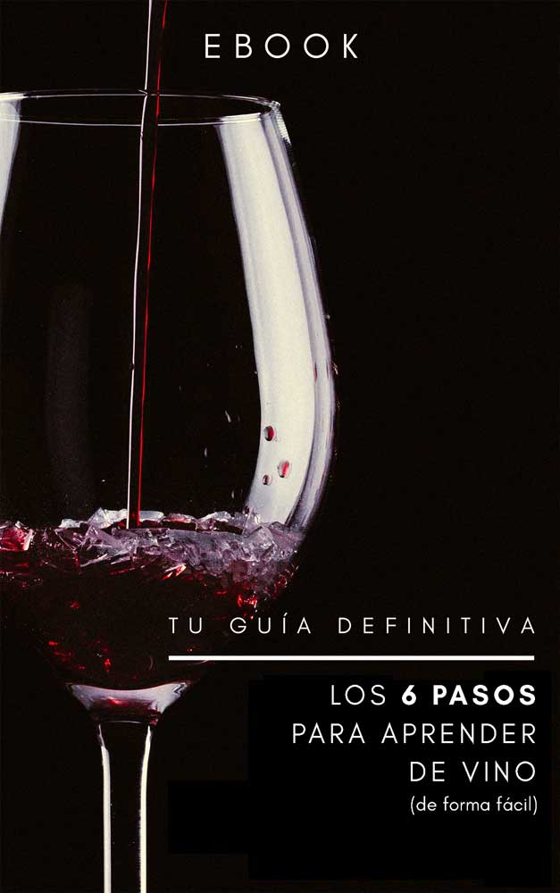 Sale al mercado el primer eBook sobre el vino que no está dirigido ni a aficionados ni a profesionales del vino