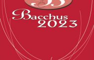 Los vinos canarios brillan en el Concurso Bacchus 2023: Celebrando la excelencia y la diversidad vinícola de las Islas Canarias
