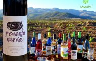 Borrón y Cuenta Nueva Tinto: Un Vino Natural que Expresa la identidad canaria