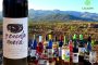 Premiados en el XXXVI Concurso Regional de Vinos Embotellados de Canarias - Alhóndiga 2023