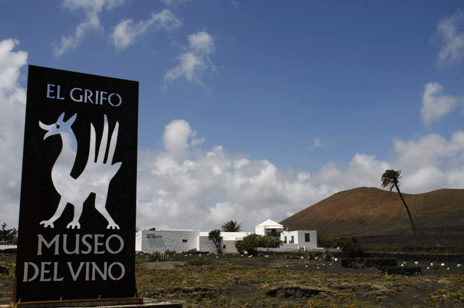 La Denominación de Origen de Vinos Lanzarote recibe el  Galardón de Vitivinicultura Sostenible