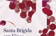 Santa Brígida con Vinos: enoturismo, sostenibilidad y experiencias inolvidables