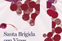 AVIBO presenta CANARYWINE.app: innovación en etiquetado digital para viticultores canarios