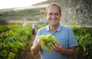 Juan Jesús Méndez asume la presidencia de la Denominación de Origen Protegida (DOP) Islas Canarias – Canary Wine,