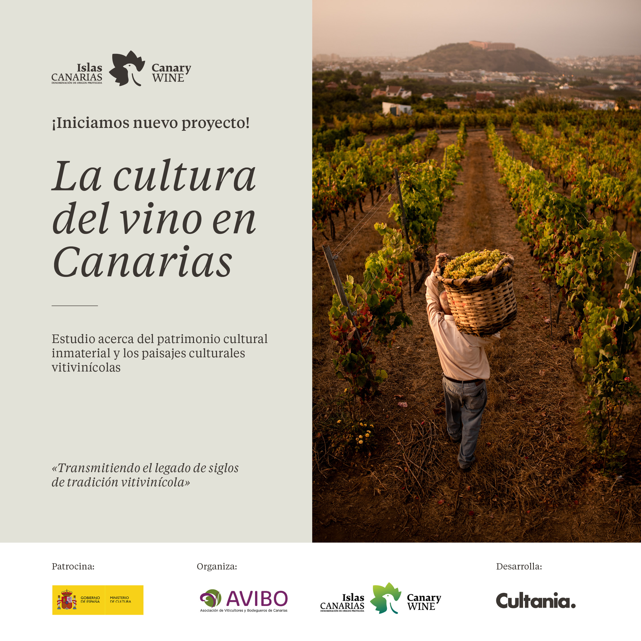 El Ministerio de Cultura otorga a AVIBO una subvención para el estudio del patrimonio inmaterial de las tradiciones vitivinícolas canarias