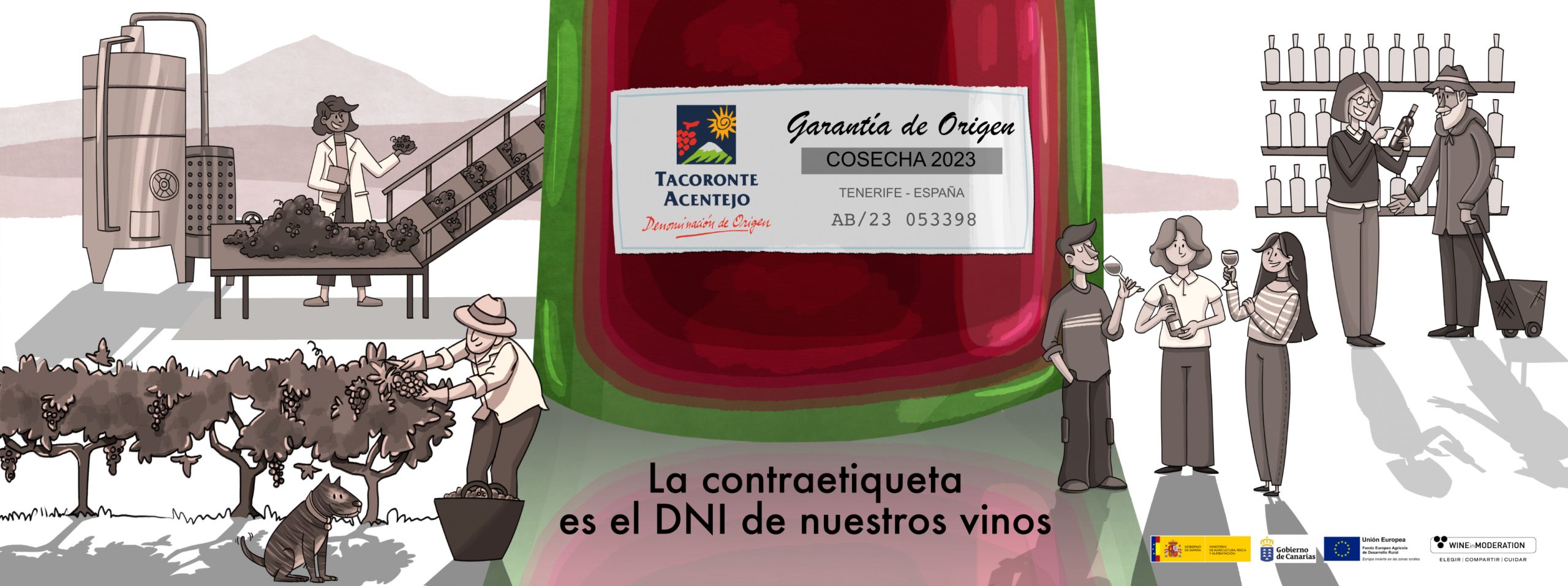 La Contraetiqueta: el garante de la autenticidad en los Vinos de Tacoronte-Acentejo