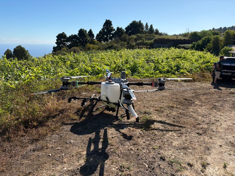Dron agrícola preparado para realizar tratamientos en un viñedo canario, dentro del proyecto PENVITIS+ de innovación y viticultura sostenible.